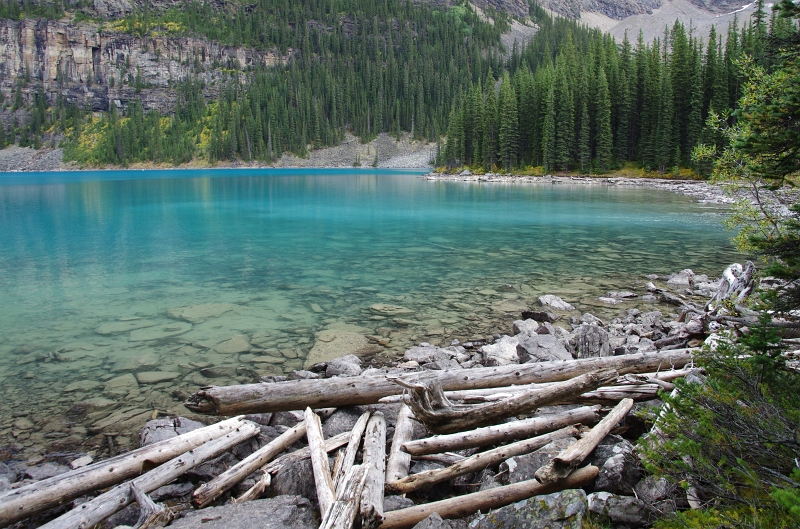 Banff NP 'Moraine  Lake Lakeshore' 16_09_2011 (150).JPG